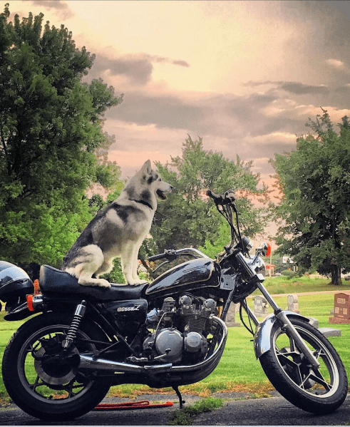 "Time to ride." (Photo: @itstravels) best road trip